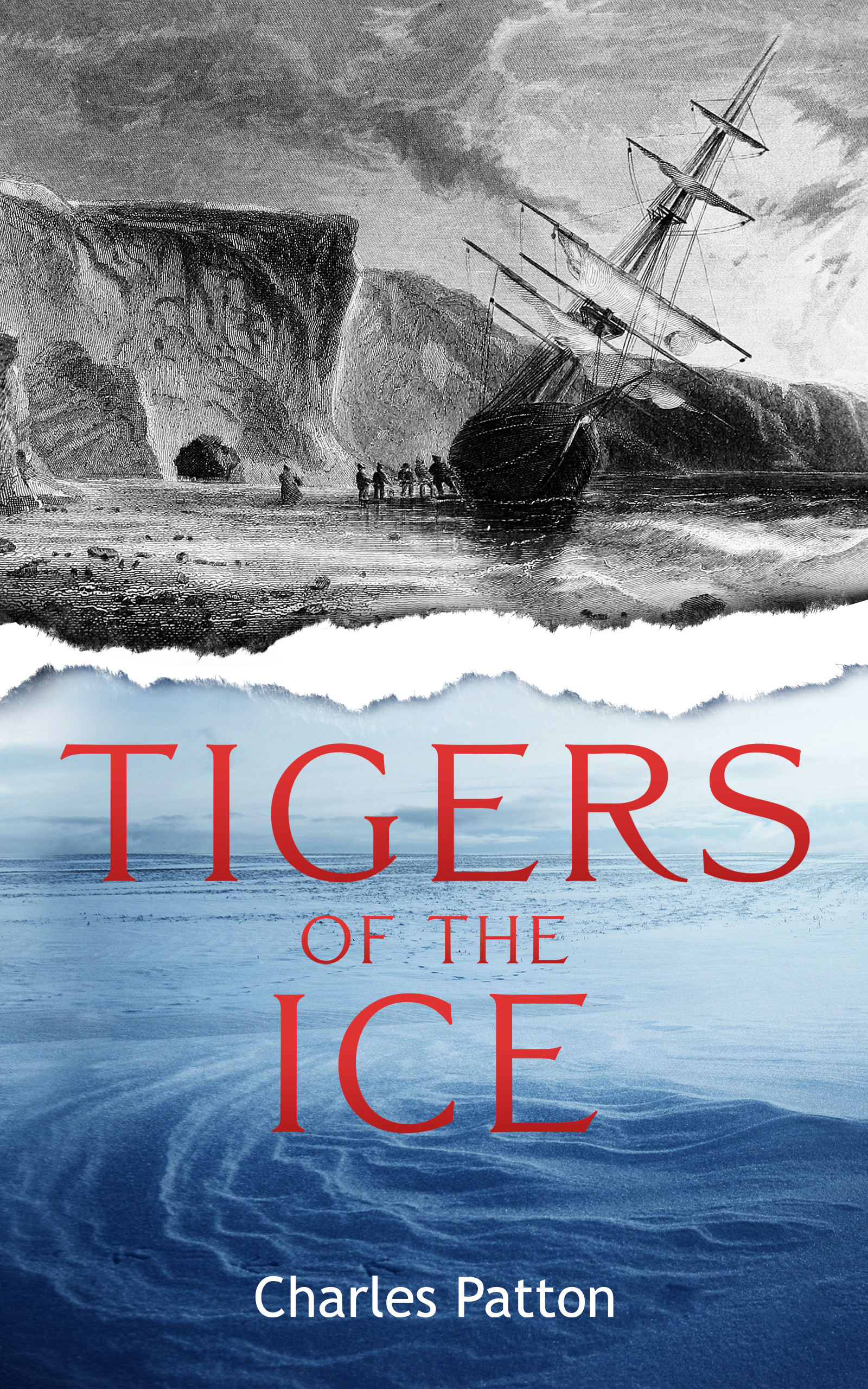 Cover image of Tigers of the Ice